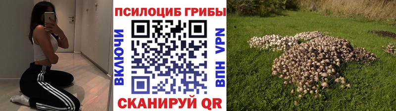 купить наркотики сайты  Усмань  Псилоцибиновые грибы Psilocybine cubensis 